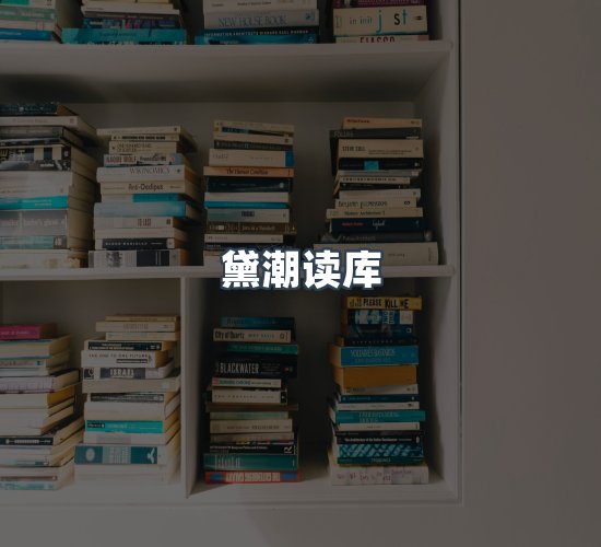关于黛潮读库